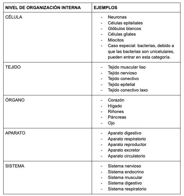 Ejemplos P2.1 Niveles de Organización Interna de los Seres Vivos