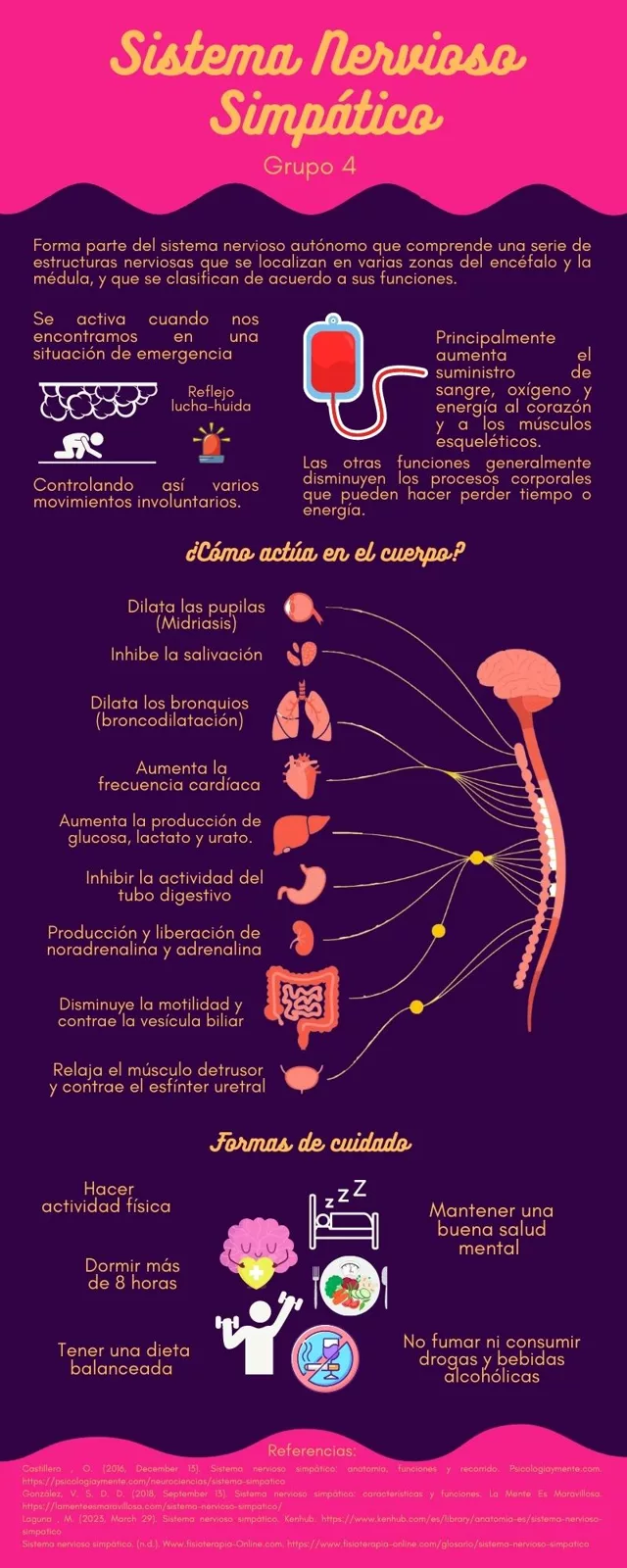 Infografía Sistema Nervioso Simpático