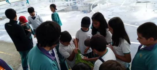 Participantes Comparando Con Quintal De Comida Para Perros