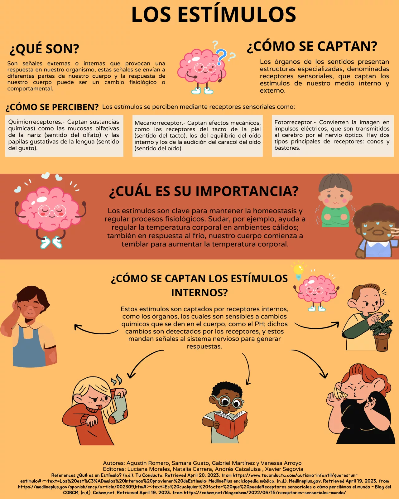 Infografía Estímulos