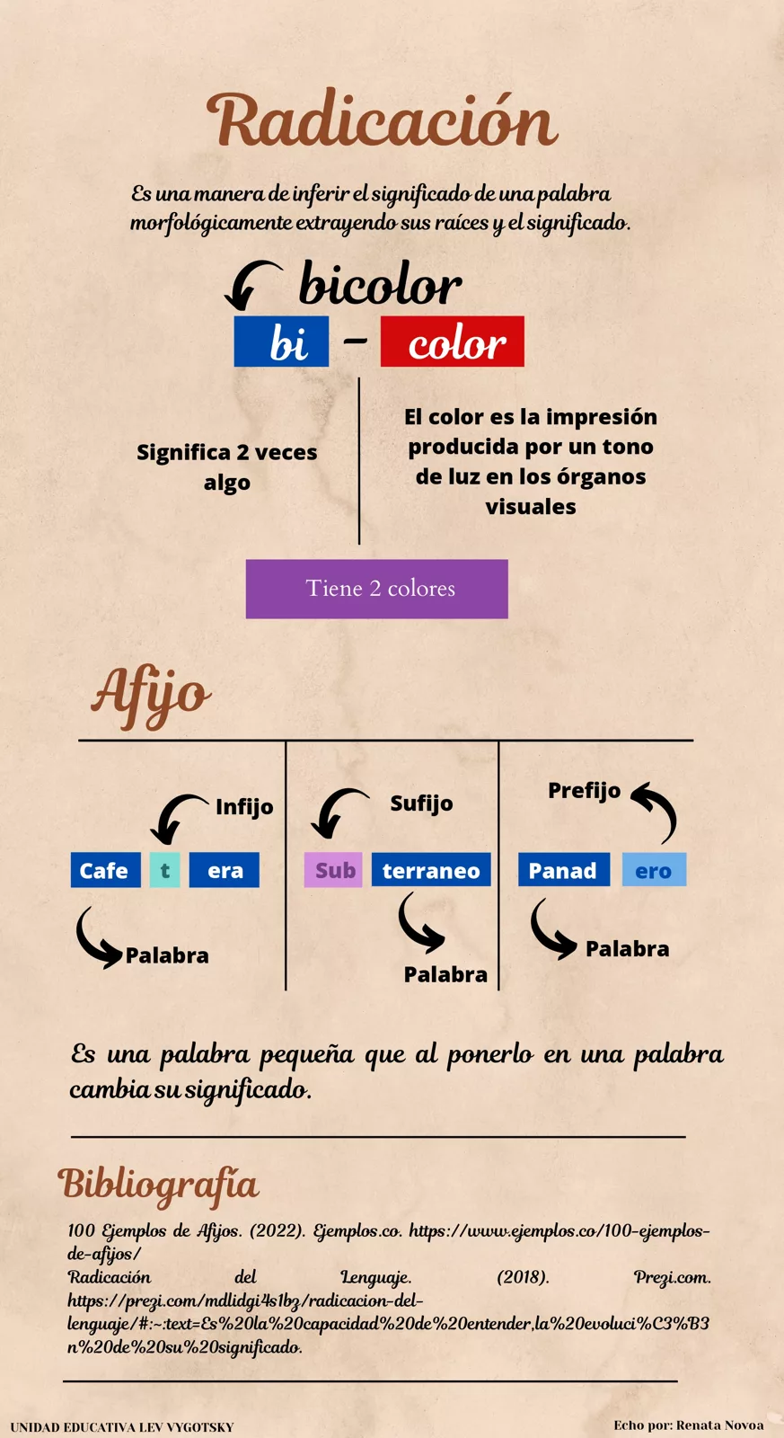 Infografía de la Radicación