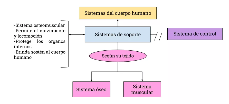 Mentefacto Conceptual Sistemas De Soporte