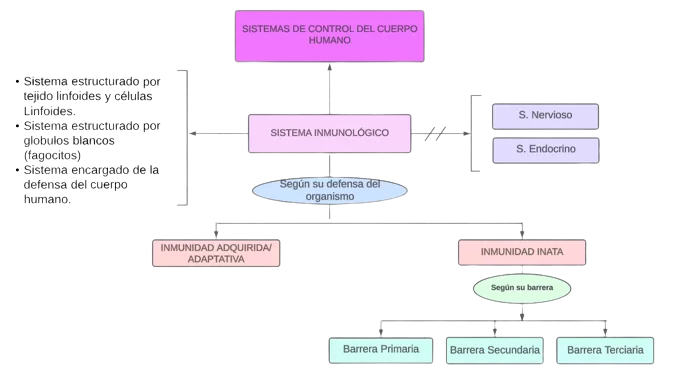 Mentefacto conceptual de sistema inmunológico