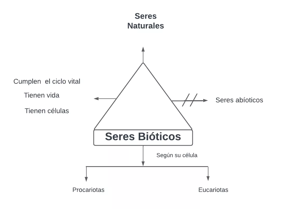 Pseudomentefacto Seres Bióticos