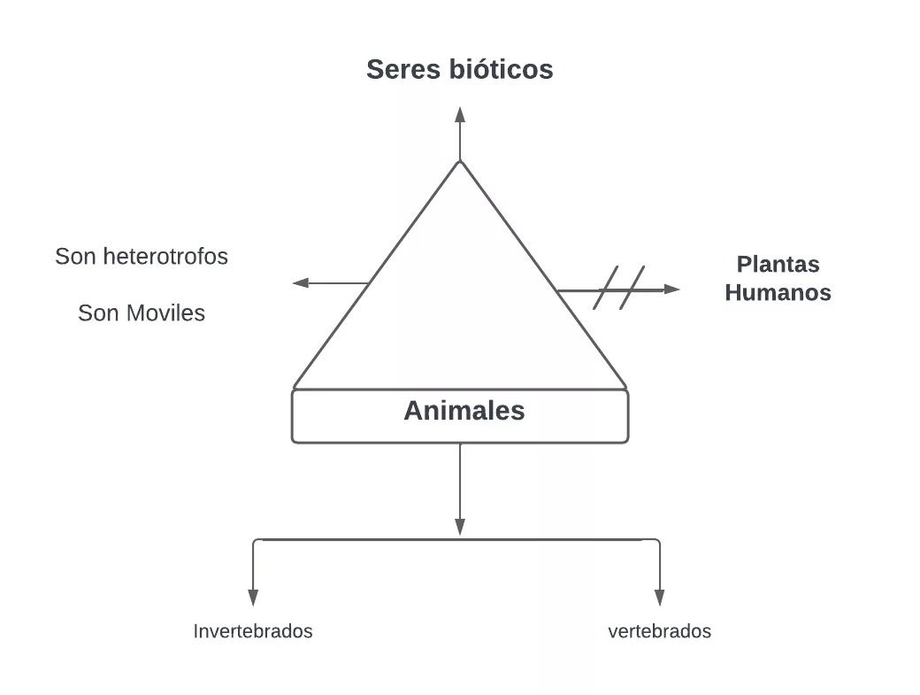 Pseudomentefacto animales
