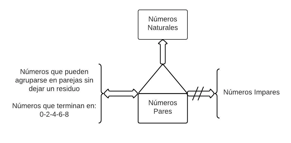 Pseudomentefacto Números Pares