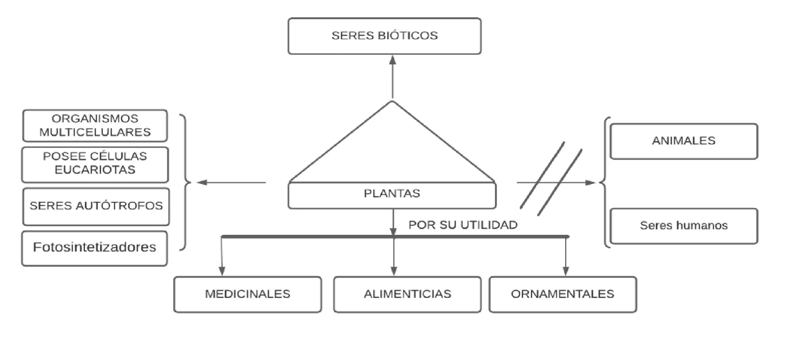 Pseudomentefacto plantas