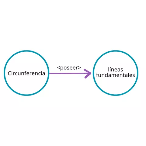 P2.3: Toda circunferencia posee líneas fundamentales.