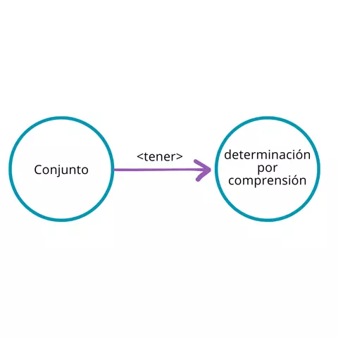 P.2.3.2: Algunos conjuntos tienen determinación por comprensión