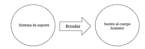 P2.4 Todo sistema de soporte brinda sostén al cuerpo humano.