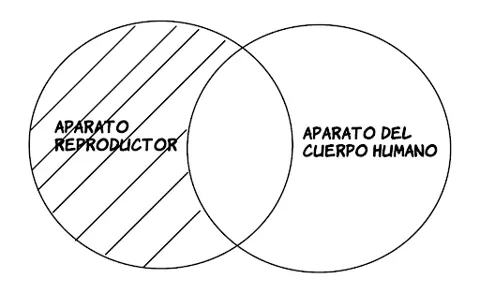 P1: Todo aparato reproductor es aparato del cuerpo humano.
