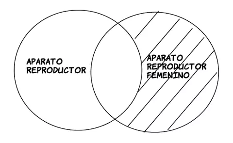 P4.2: Algún aparato reproductor es aparato reproductor femenino.