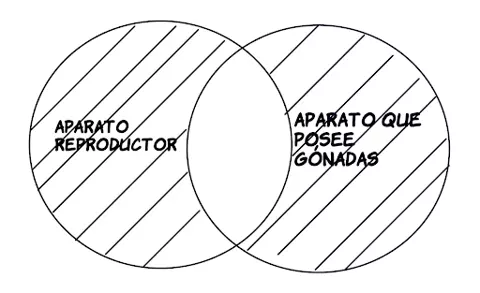 P2.3: Todo aparato reproductor es aparato poseedor de gónadas