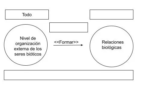 P2.2: Todo nivel de organización externa de los seres bióticos tiene propiedades emergentes.