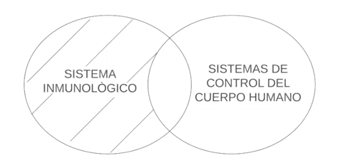 P1. Todo sistema inmunológico es un sistema de control del cuerpo humano.