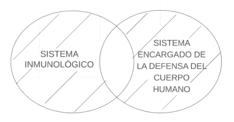 P2.3. Todo sistema inmunológico es el sistema encargado de la defensa del cuerpo humano.