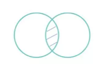 P4.1. Ninguna planta alimenticia es planta medicinal.