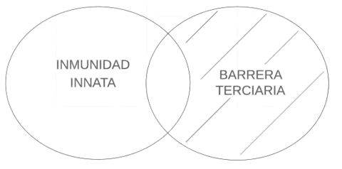 P4.2.3 Alguna inmunidad innata es barrera terciaria