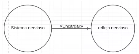 P.2.2 Todo sistema nervioso es encargado del reflejo nervioso