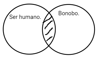 Archivo:Mentefacto humano bonobo.png