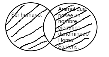 Archivo:Mentefacto humano sapiens.png