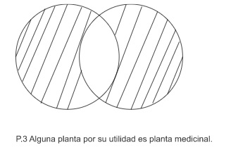 Archivo:Pseudo mentefacto P3.jpg