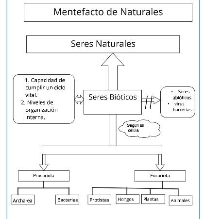 Archivo:Mentefacto natu.jpg