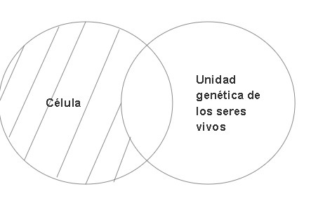 Archivo:Mentefacto proposicional 2.4.png