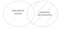 P4.2.2  Según sus barreras, alguna inmunidad innata es barrera secundaria.