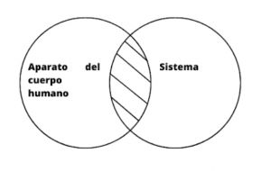 Sistema .jpg