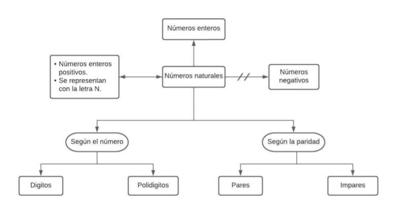 Archivo:Mentefacto Números Naturales.jpg