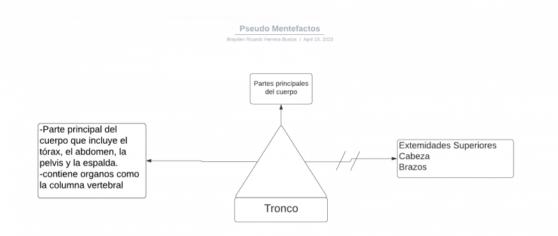 Archivo:Pseudeomentefacto Tronco.png