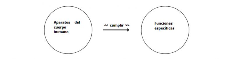 Archivo:Funciones específicas .jpg