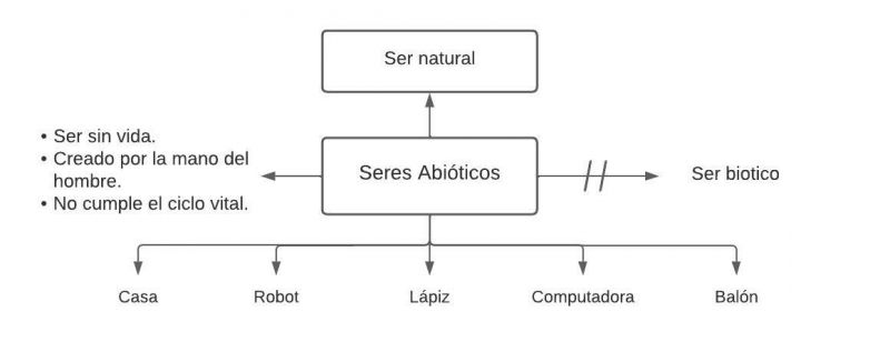 Archivo:Pseudomentefacto seres abioticos.jpg