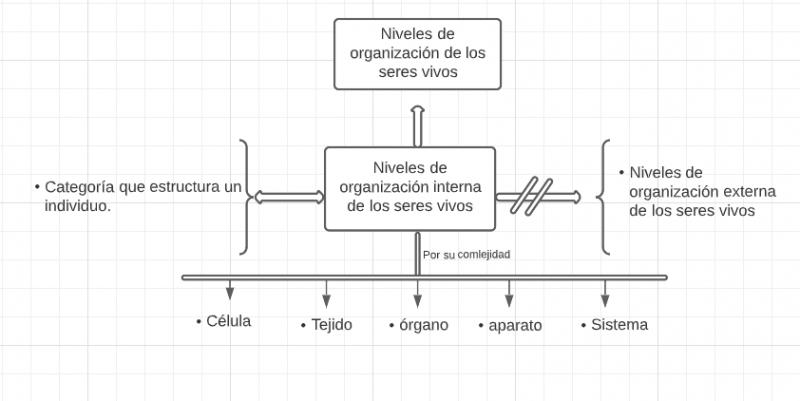 Archivo:Mentefacto naturales.png