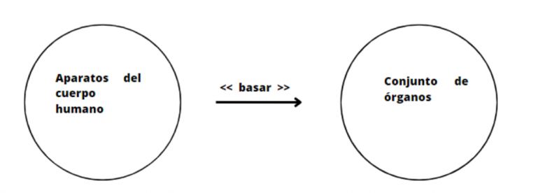 Archivo:Conjunto de órganos 1.jpg