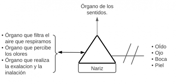 Pseudomentefacto Sílaba Átoma.png
