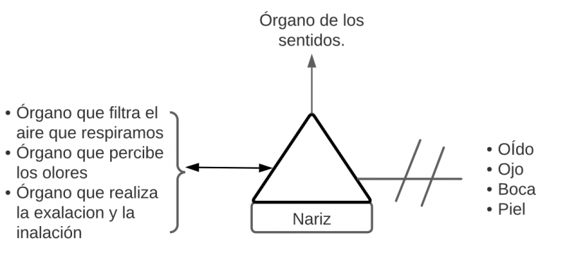 Archivo:Pseudomentefacto Sílaba Átoma.png