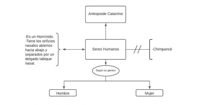 Archivo:Humanos.jpg