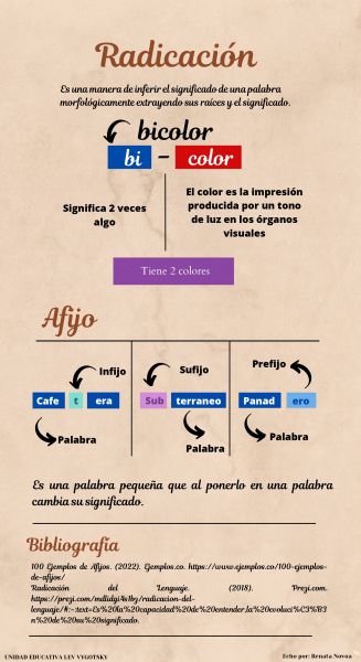 Archivo:Infografia radicacion .jpg