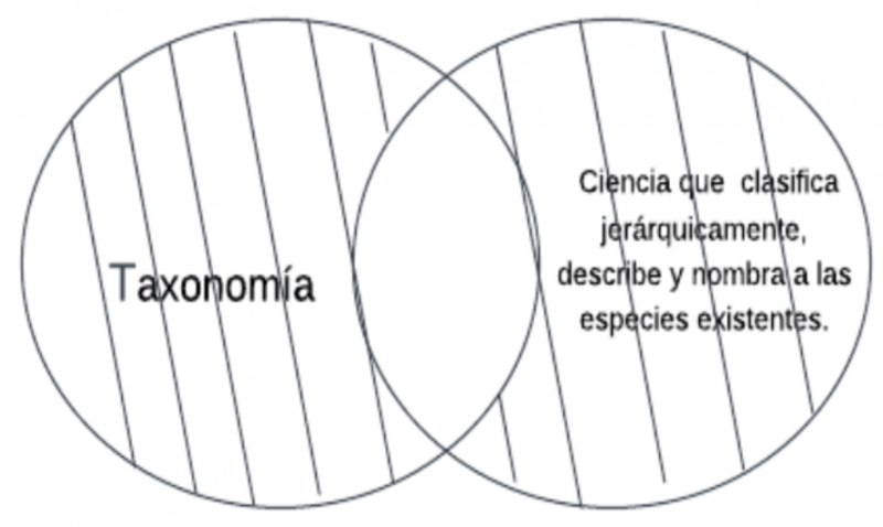 Archivo:Mentefacto P2.1.-.png