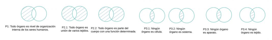 Paquete Proposicional organo.jpg