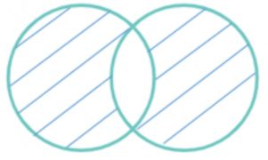 Todo ojo es órgano que proporciona la vista.