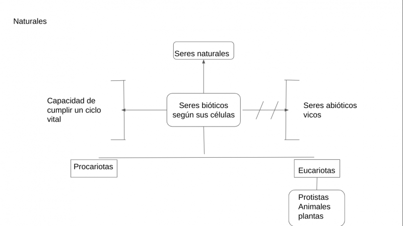 Archivo:Mentefacto seres bioticos.png