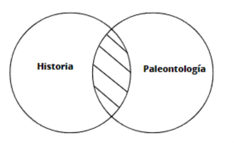 Archivo:Paleontólogia .jpg
