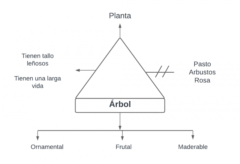 Archivo:Pseudomentefacto Árbol.png