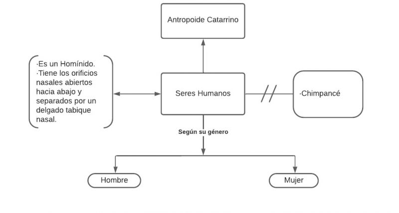 Archivo:Mentefacto seres humanos.jpg