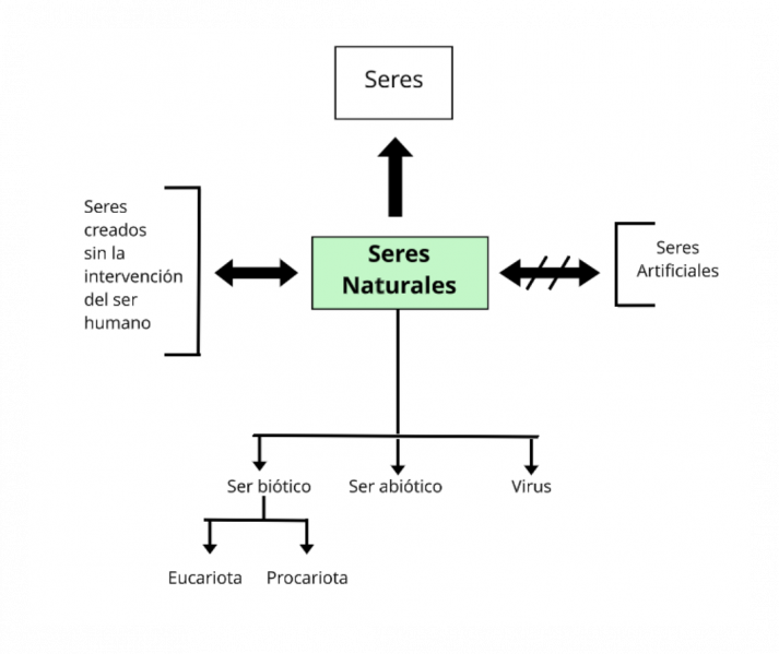 Archivo:Mentefacto seres naturales.png