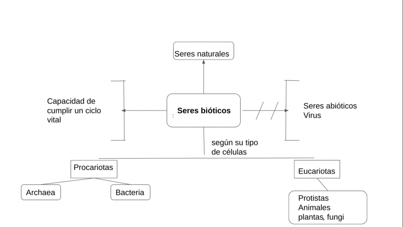 Archivo:Mentefacto1 seres bioticos.png