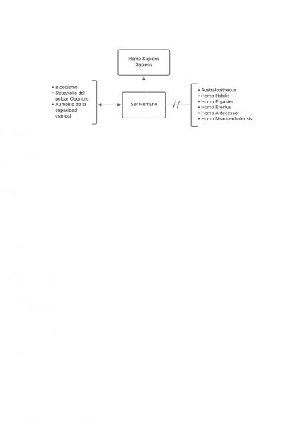 Archivo:Ser Humano.jpg